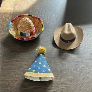 Small Dog Hat Set